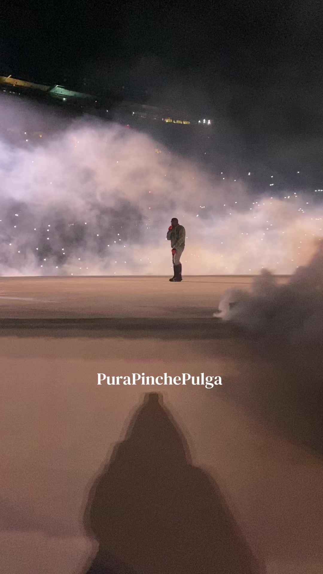 @PuraPinchePulga2