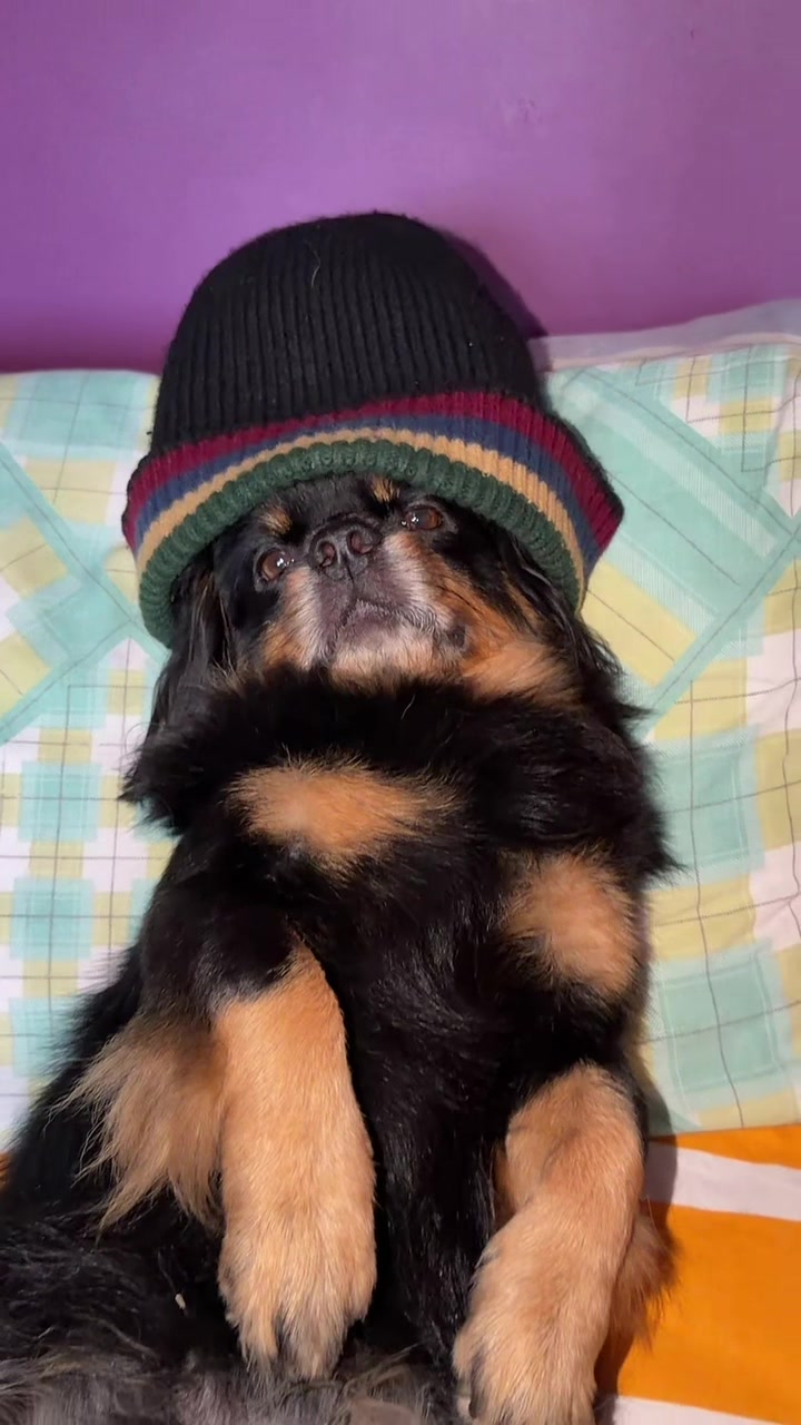 @🍀🐾Luis Pulgarin y Mafrencito