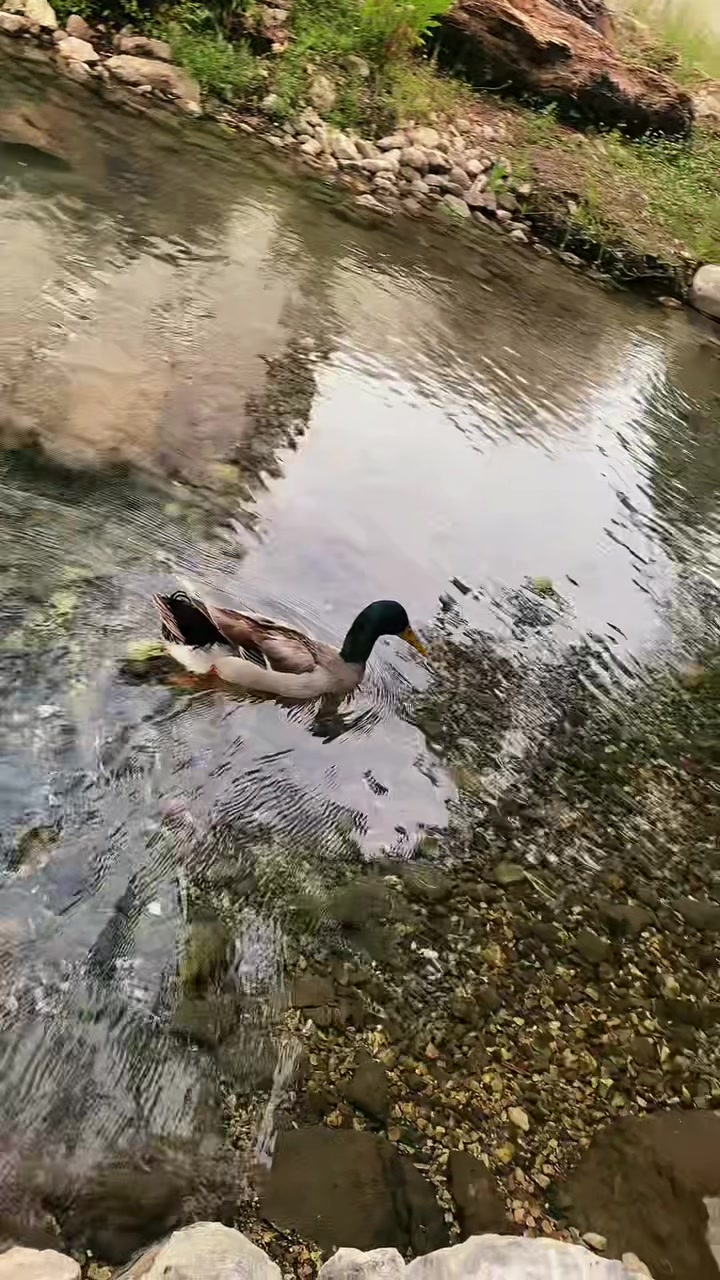 @𝑨𝒀𝑵𝑼𝑹𝑨𝑪𝑨𝑹𝑩𝑬𝑨𝑼𝑻𝒀