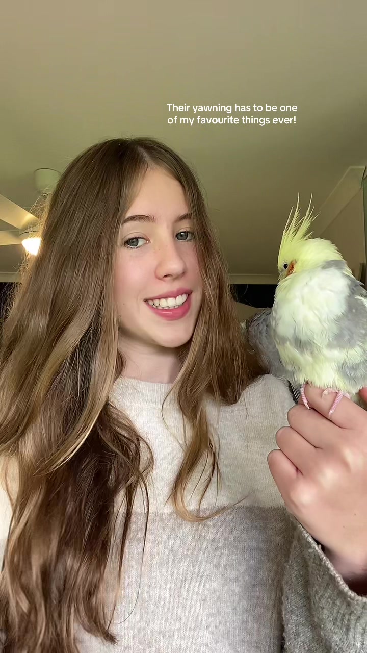 @mybirdjourney;)