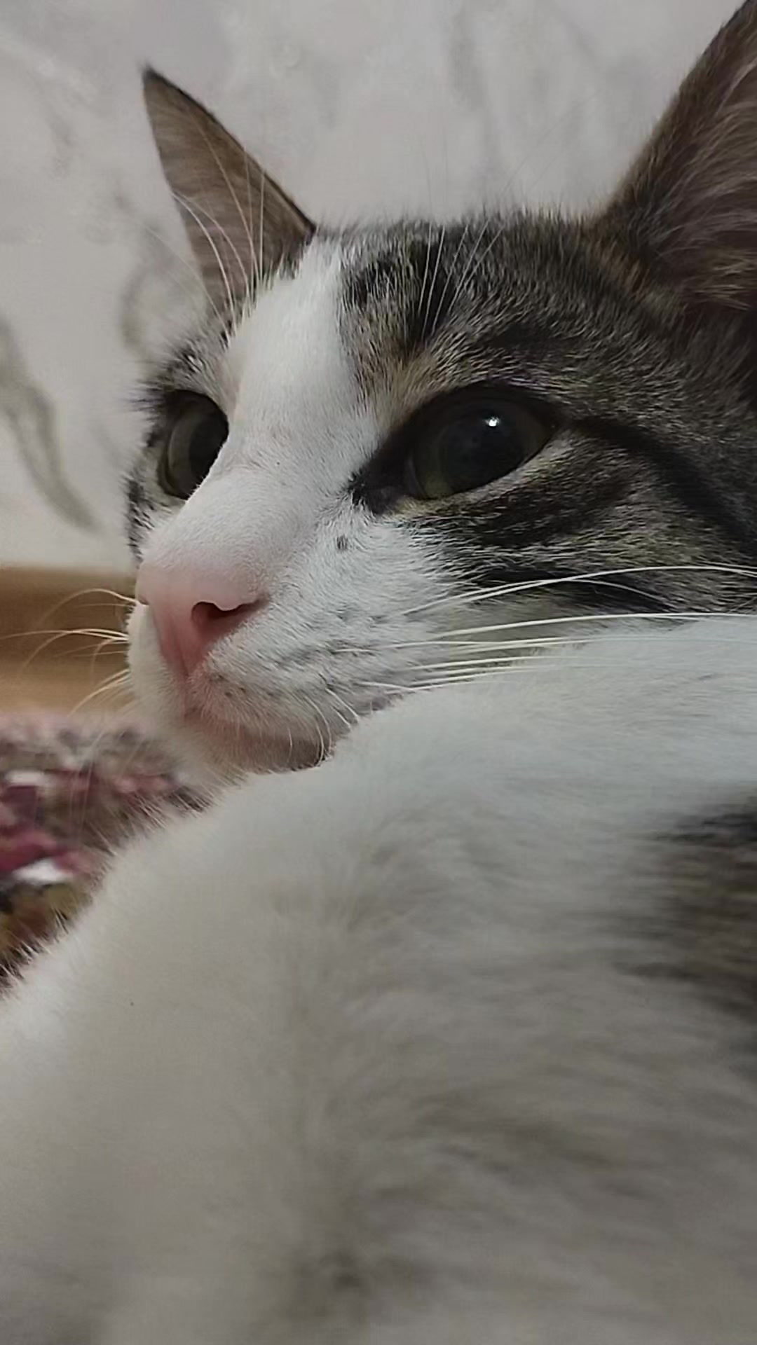 @miniş