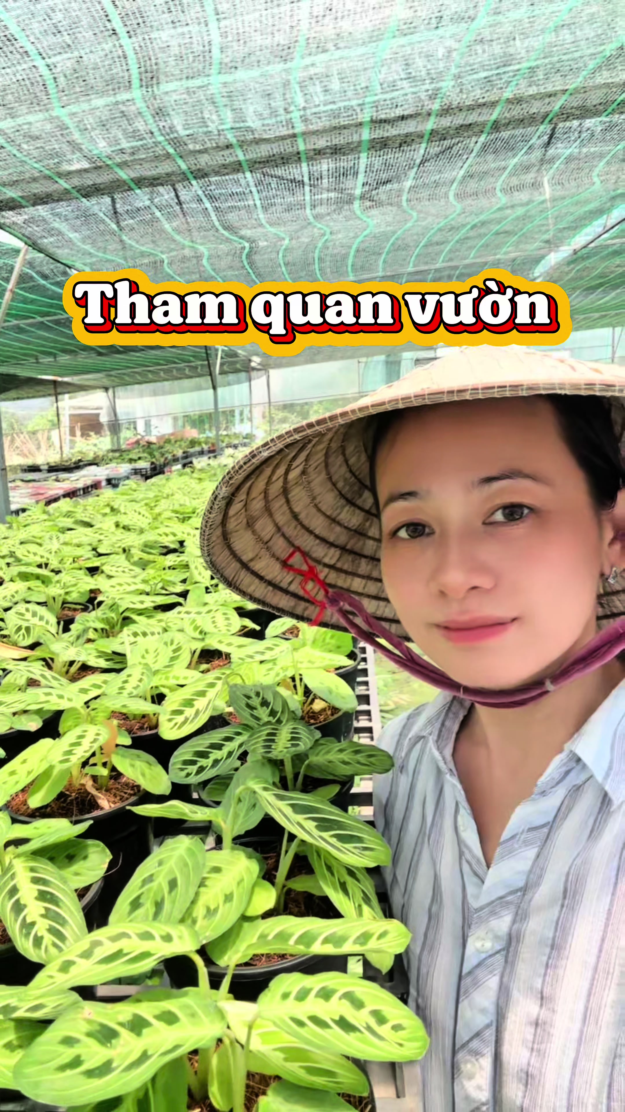 @Vườn Hồ H&acirc;n