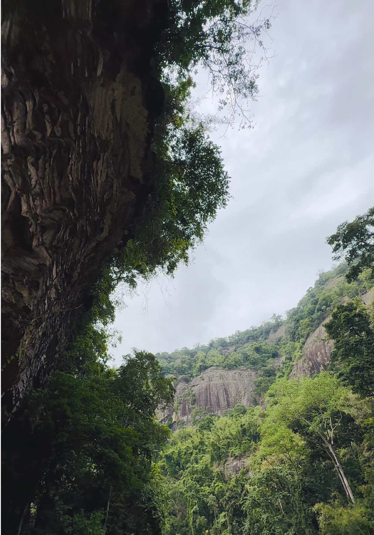 @GT NILOY ⚜️ (Little Adventure)