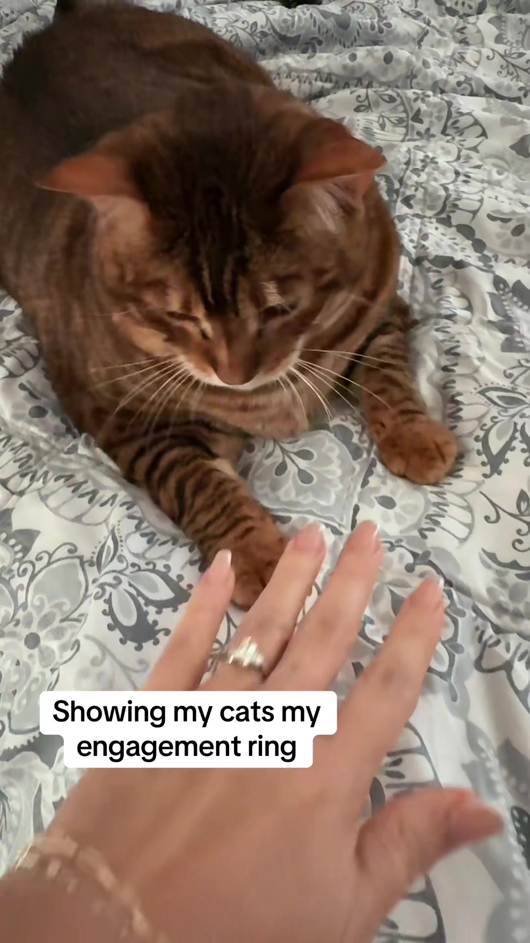 @Heather_plus_3