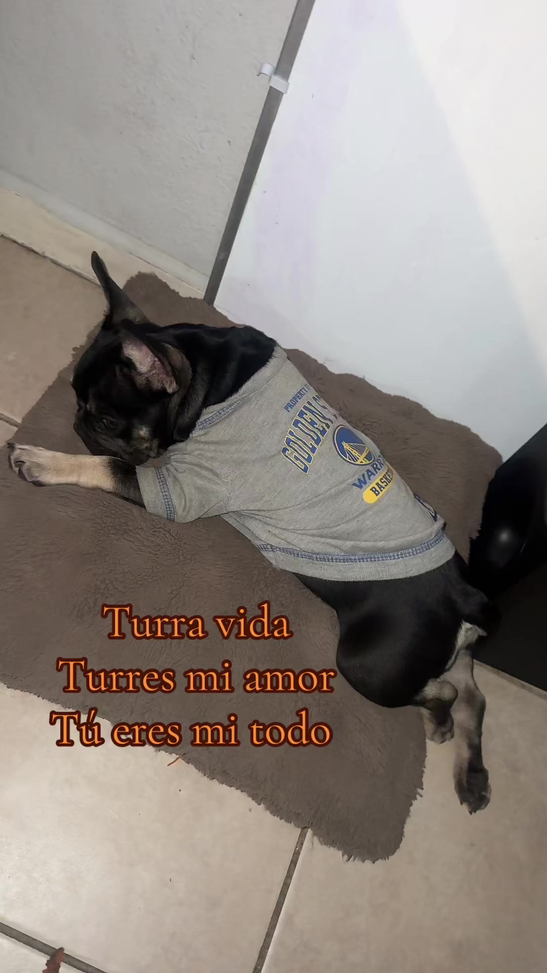 @♚💚💛𝕊𝑜ｙ𝓬ℓａᑌş  🗝️📿🗿❤️🖤