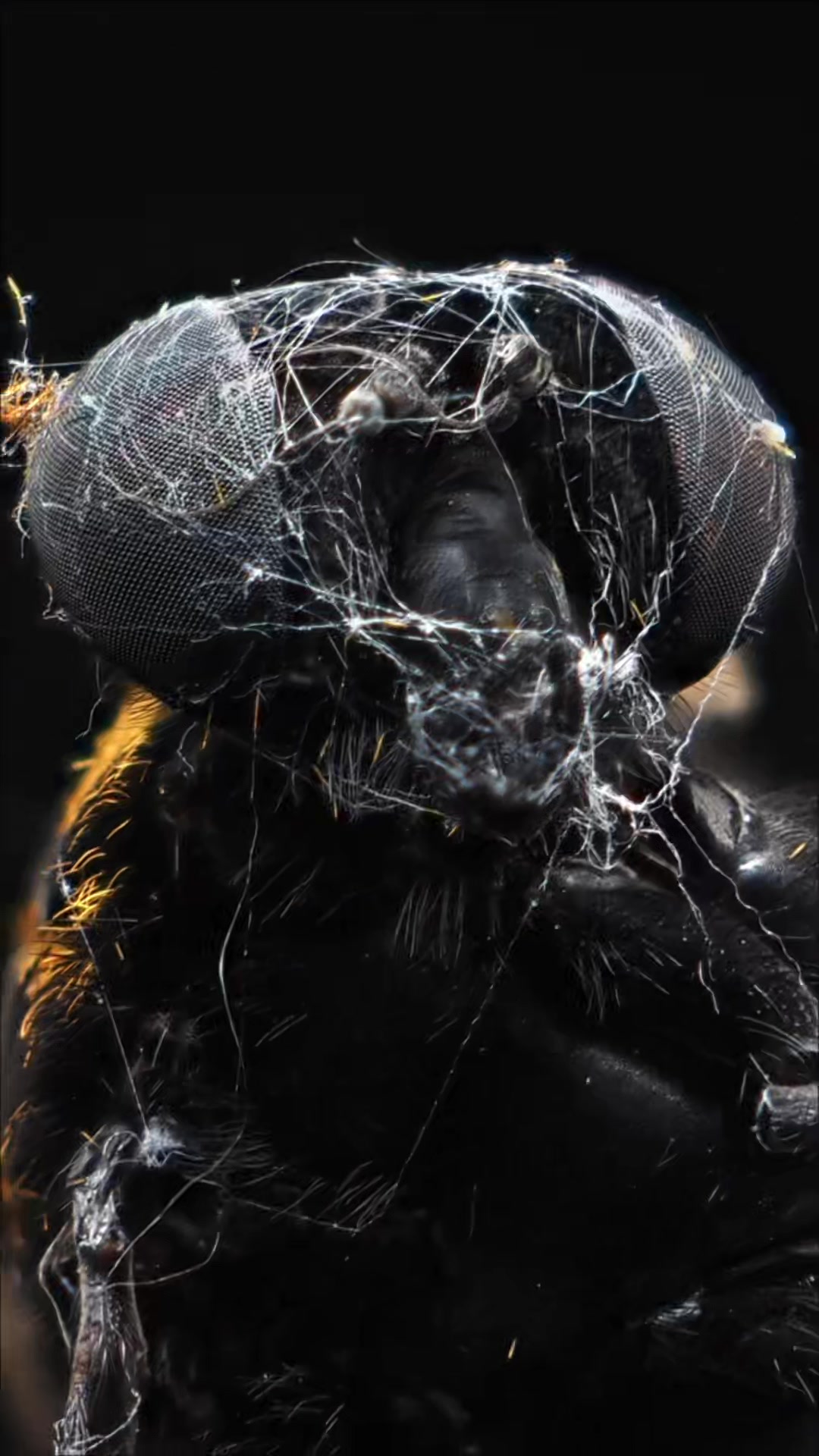 @Alex_Hernandez
