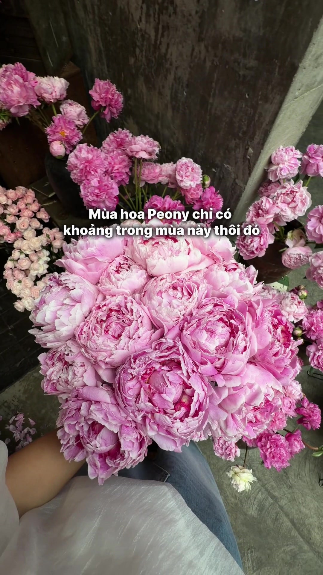 @Kita n&egrave;eee 💁🏻&zwj;♀️