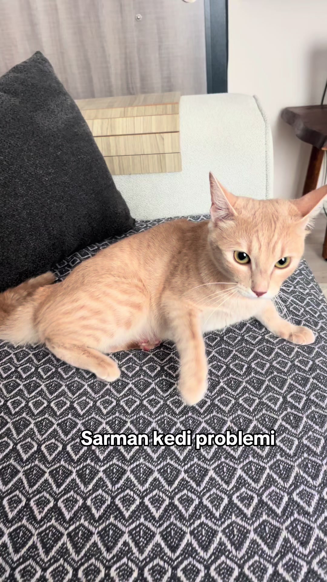 @Tekçam Ailesi