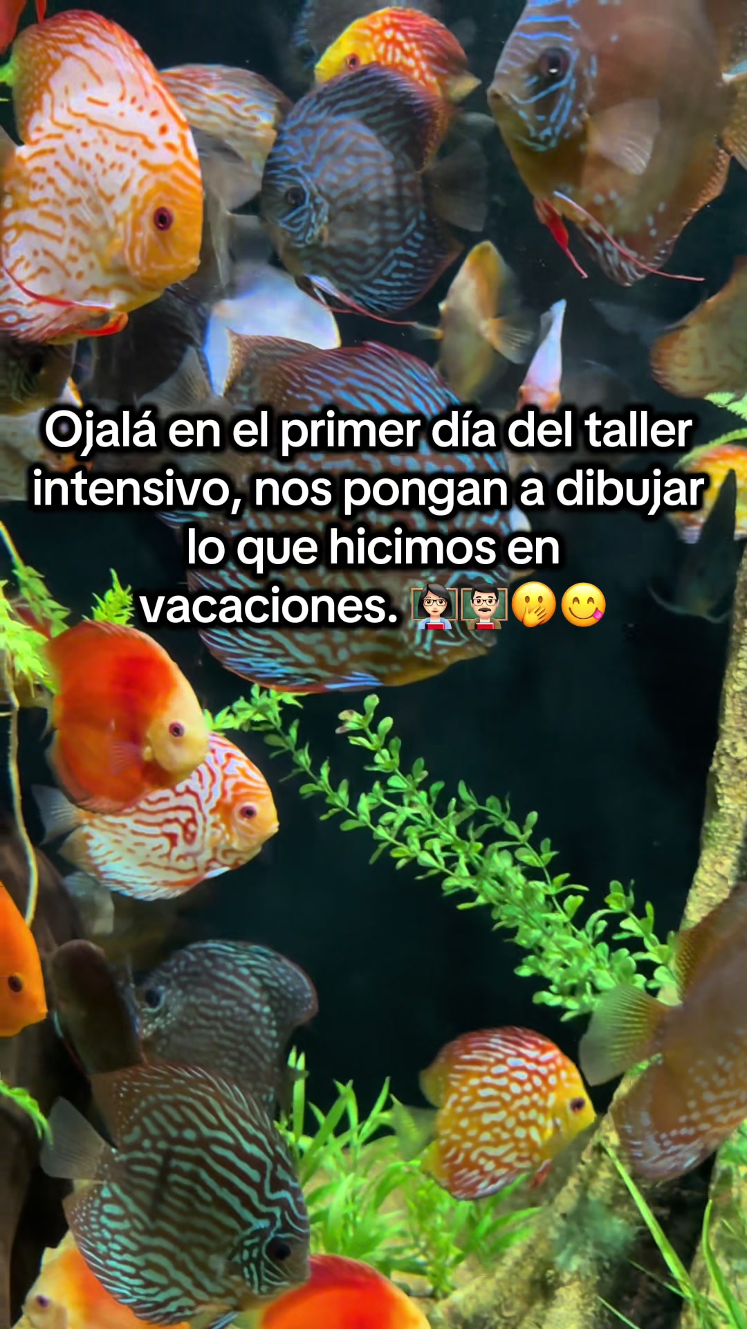 @&iquest;Qu&eacute; onda prof?