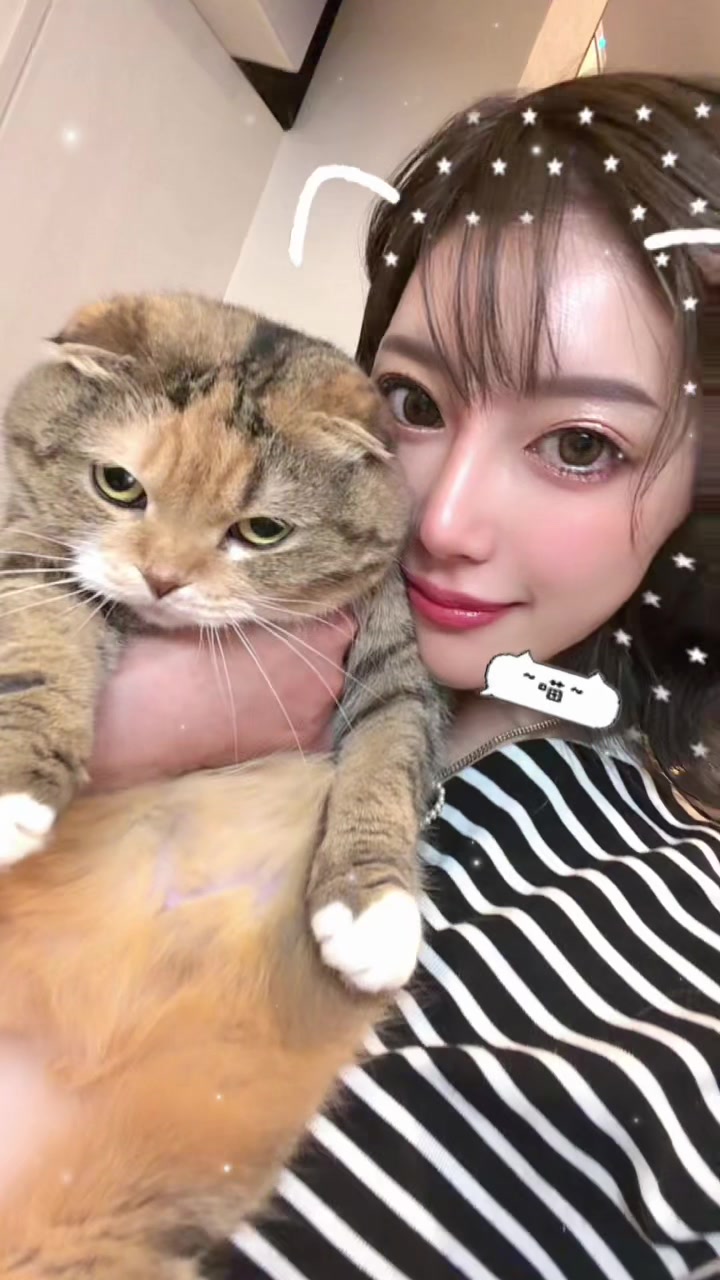 @名前は琴乃🐴💟