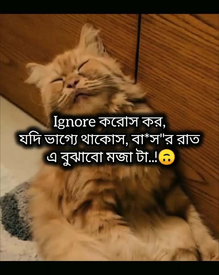 @Mᴀʀᴜғ Bɪʟʟᴀʜ 🌱