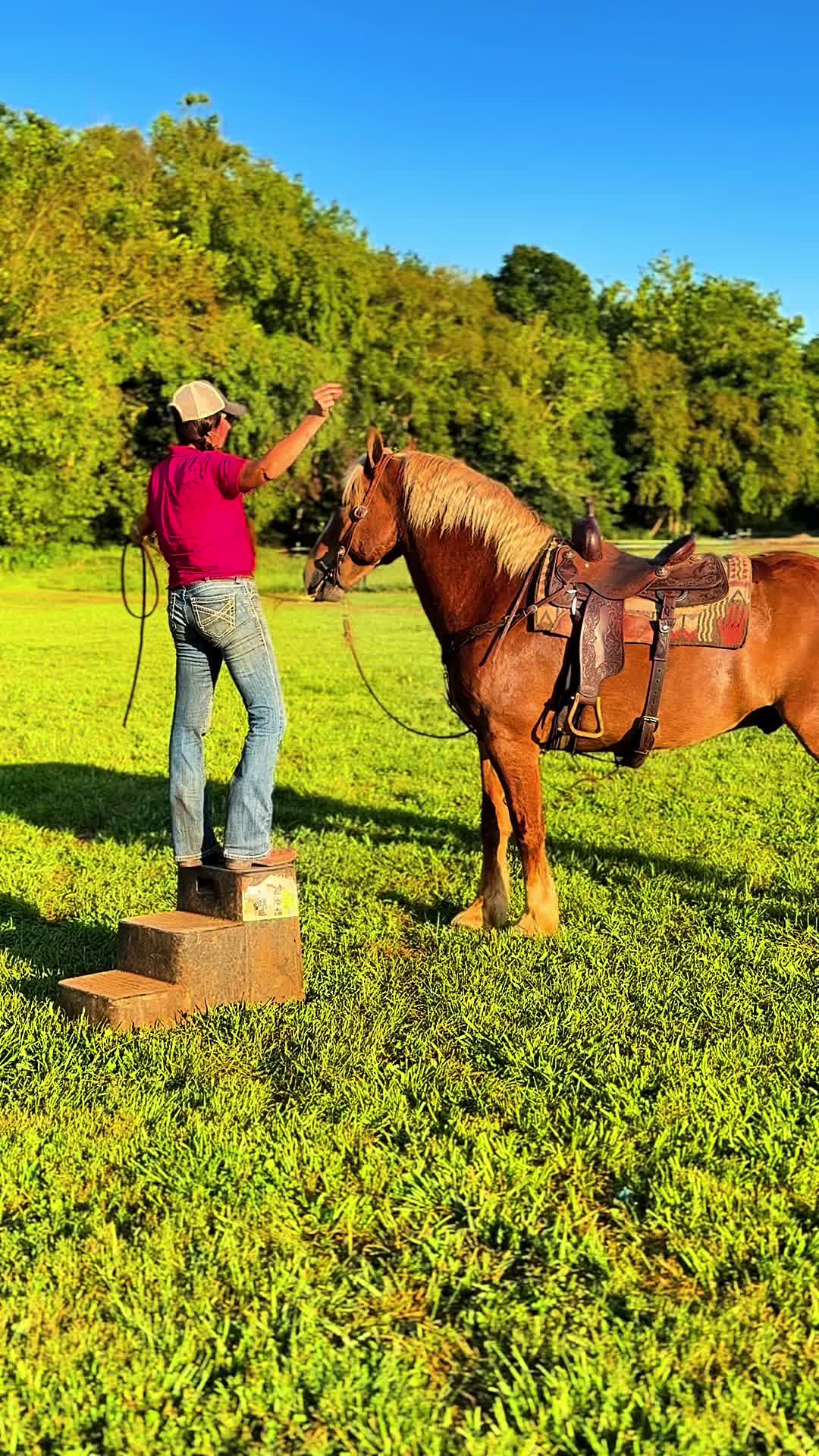@Lucky D Ranch 🍀