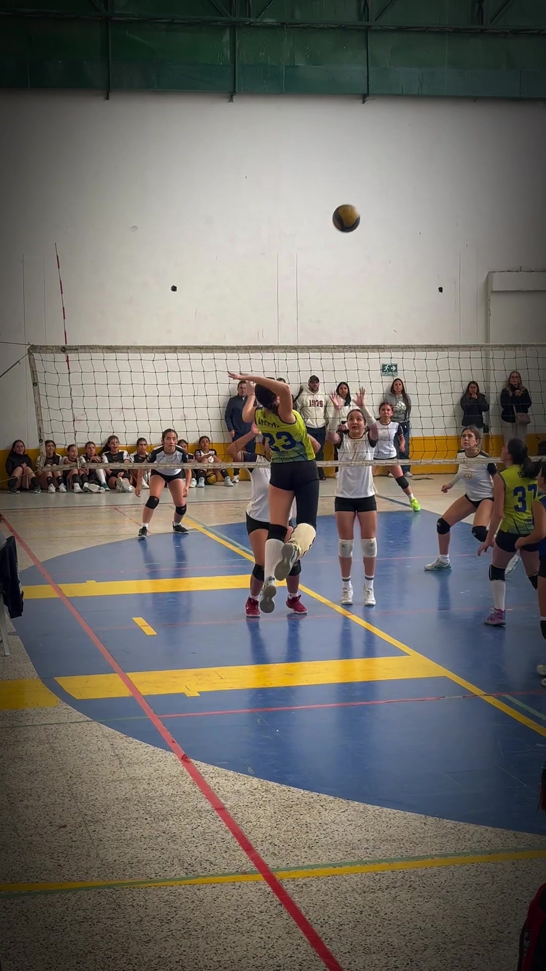 @Isabella Amaya Volley 23