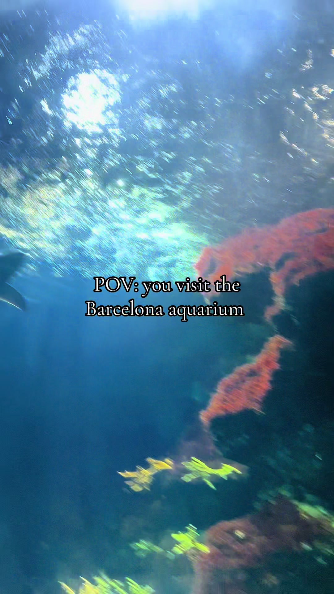@Kay