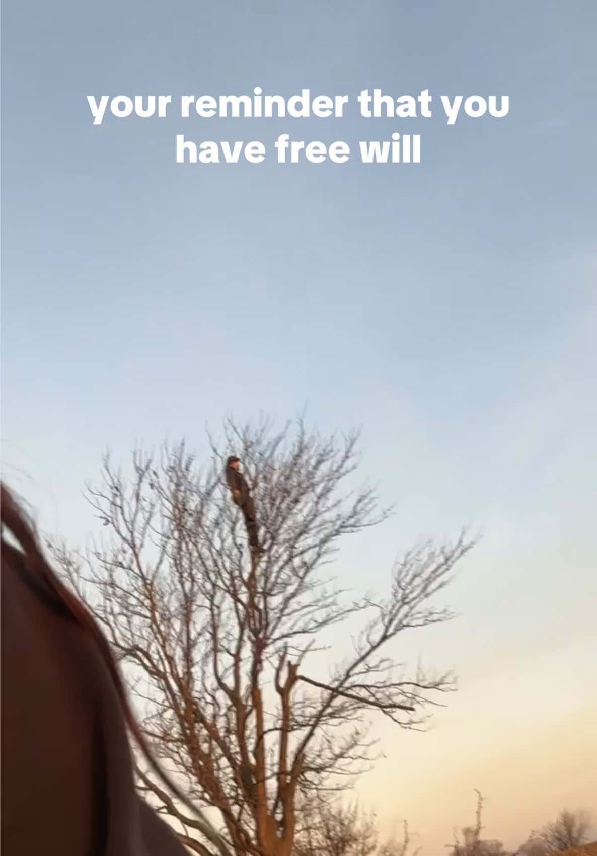 @🩻haley🐿️