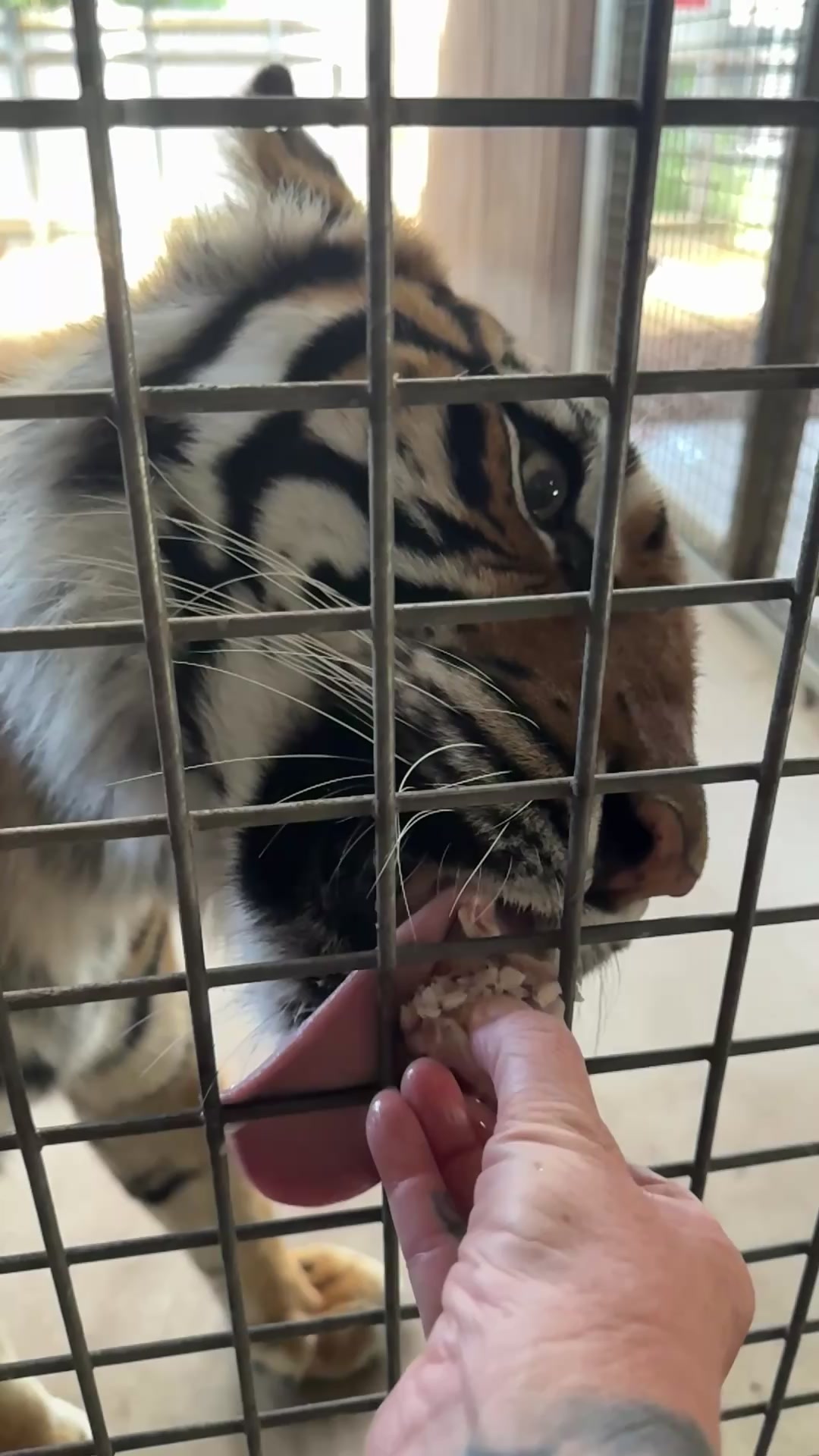 @judeszoolife