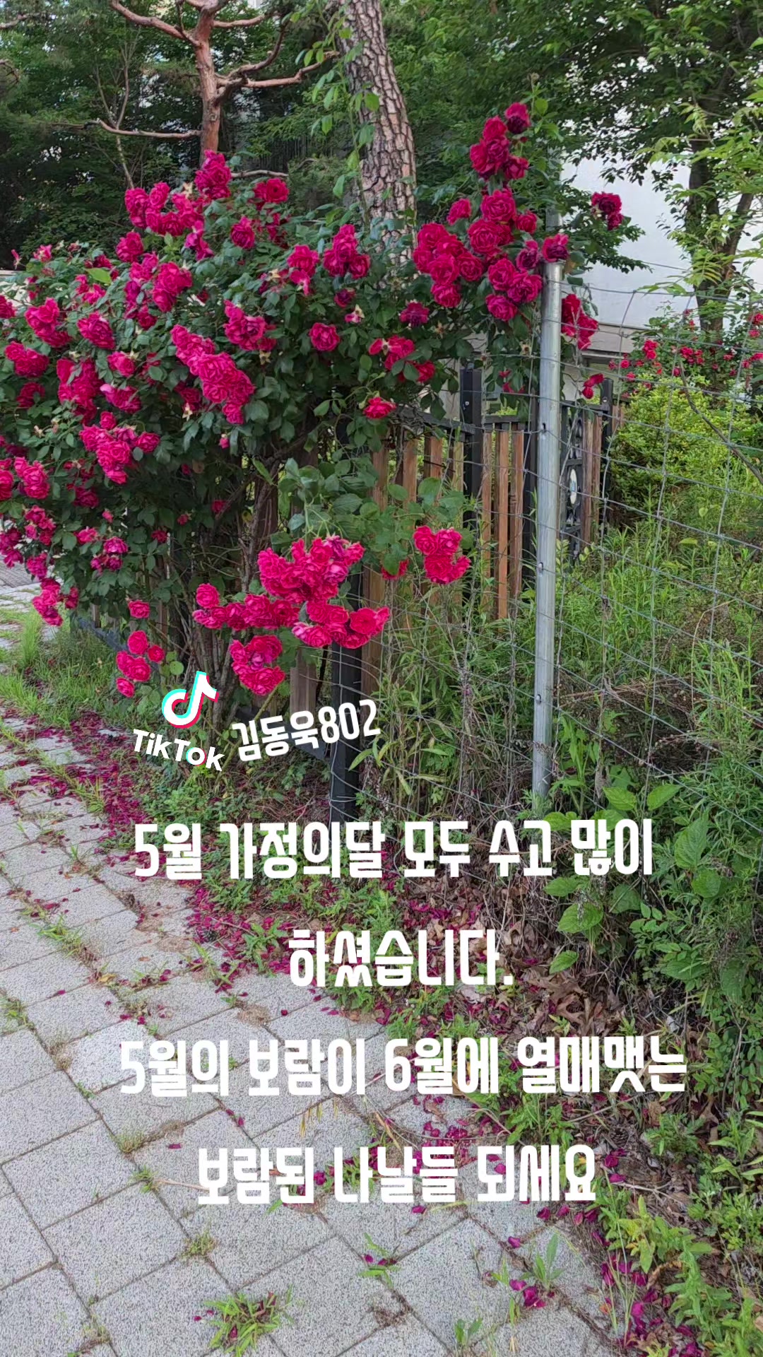 @김동욱802
