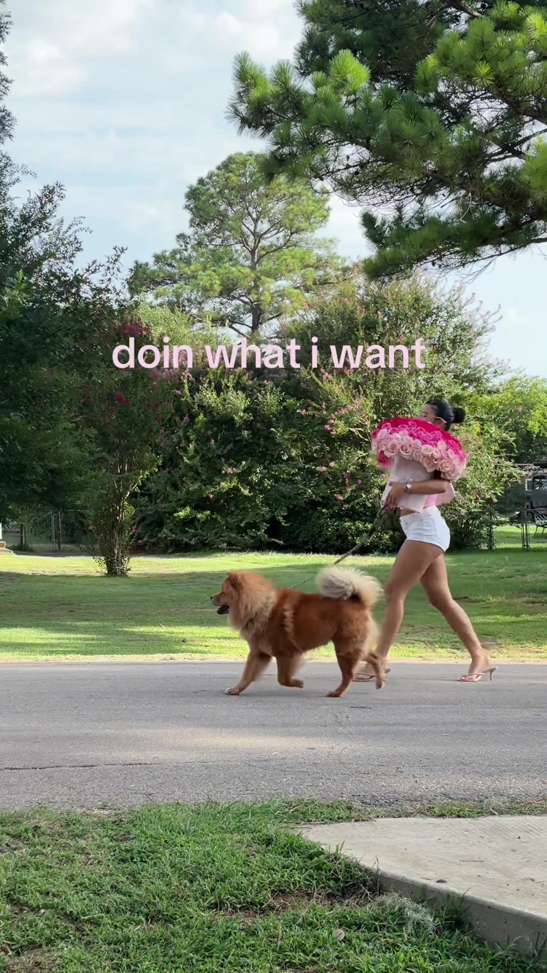 @JOURNI ᥫ᭡