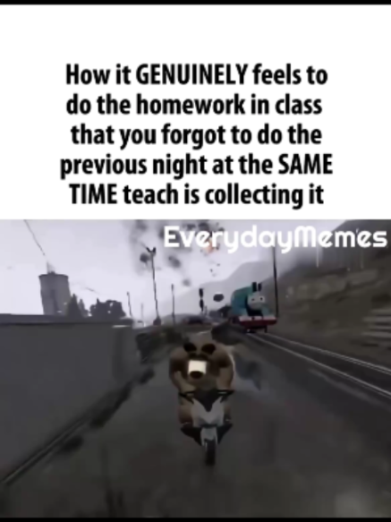 @EverydayMemes