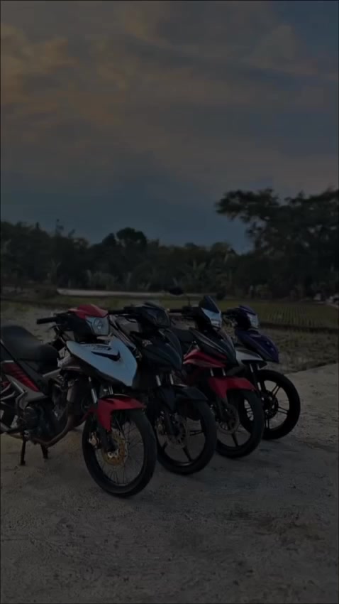 @MX gayor