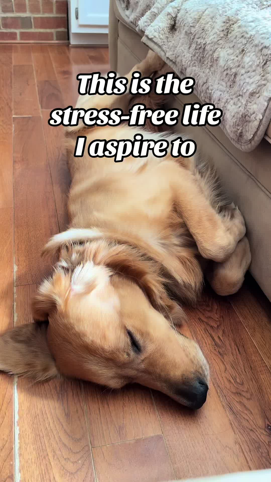 @Charlie the Golden