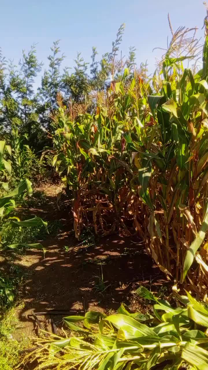 @JEFF TRICKS FARM
