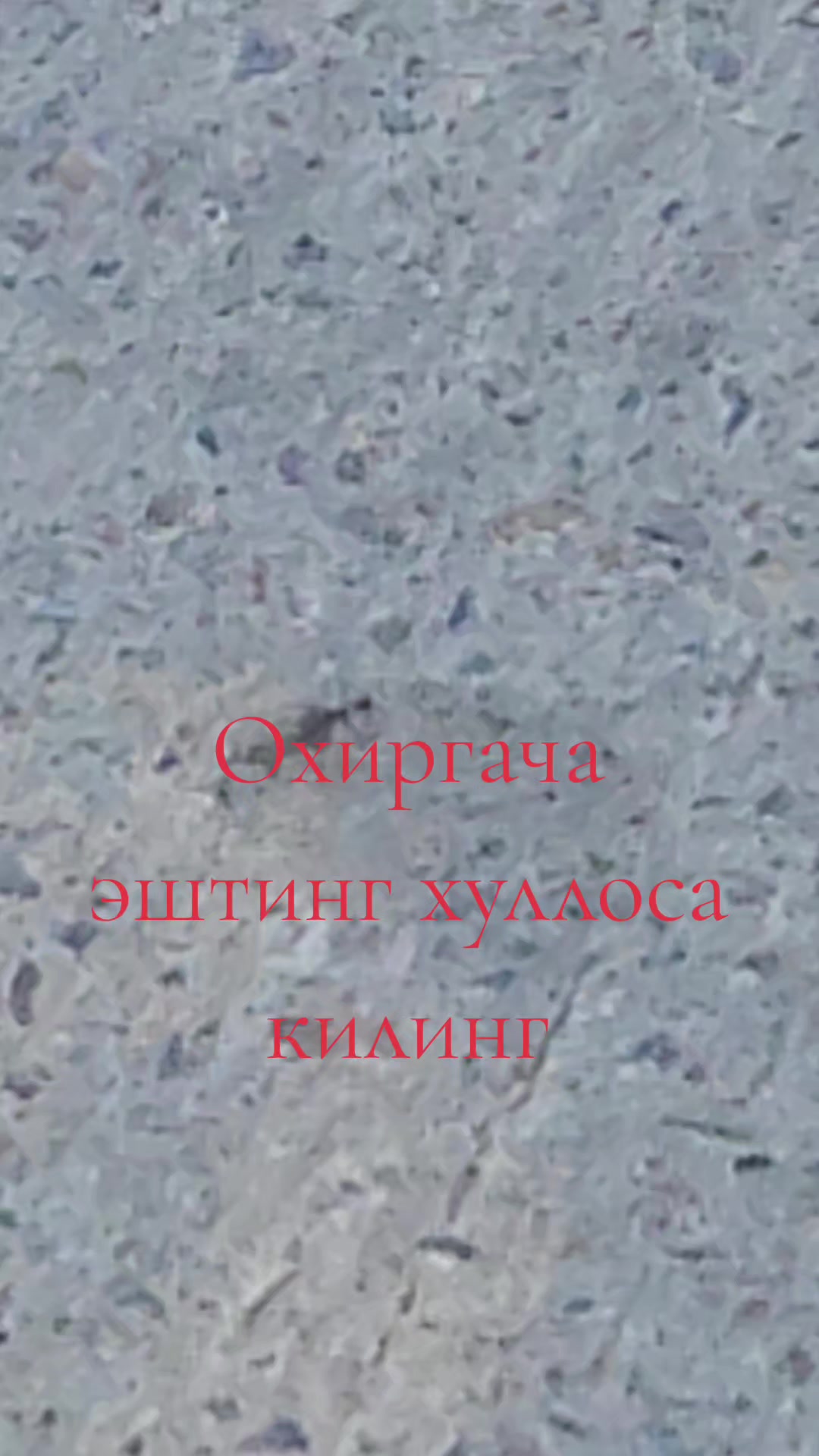 @Алишер