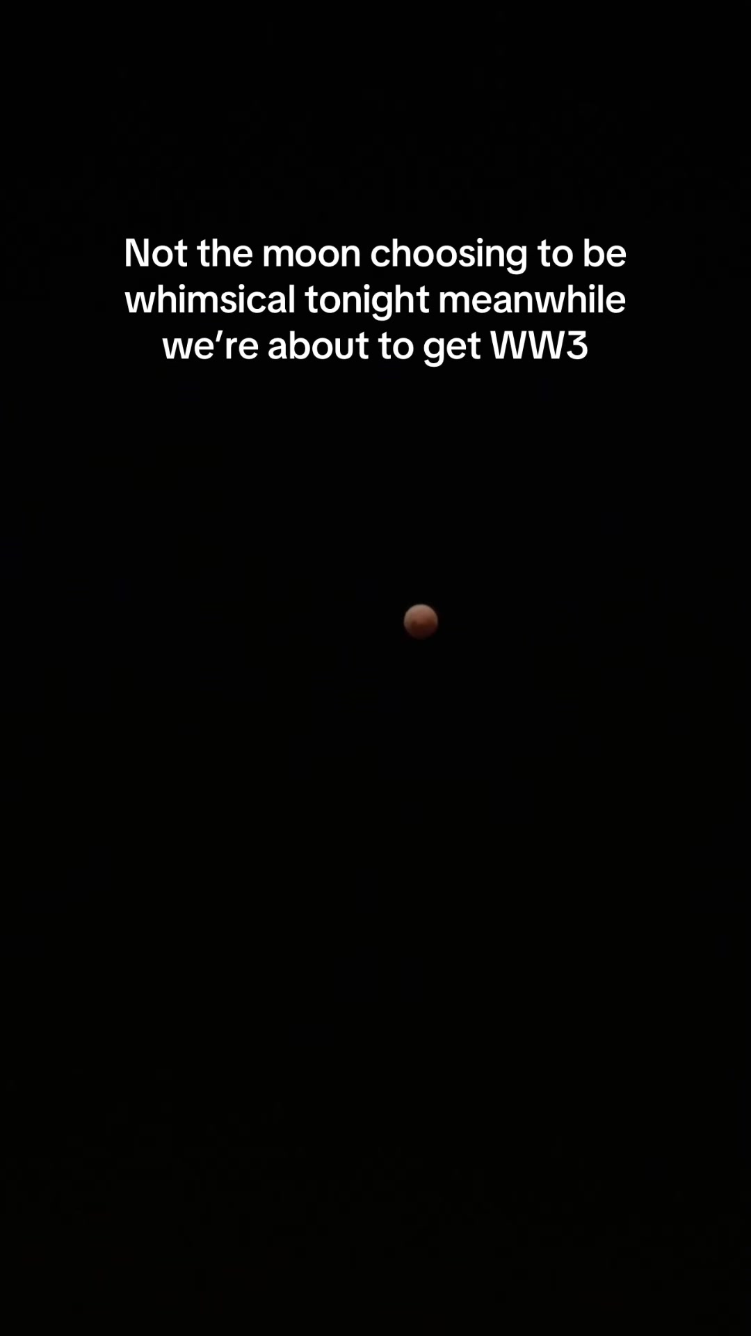 @t.newwinner_