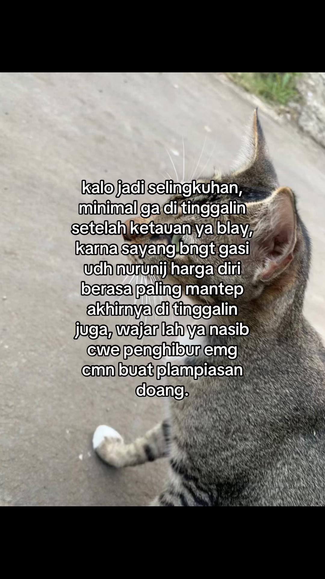 @🥟