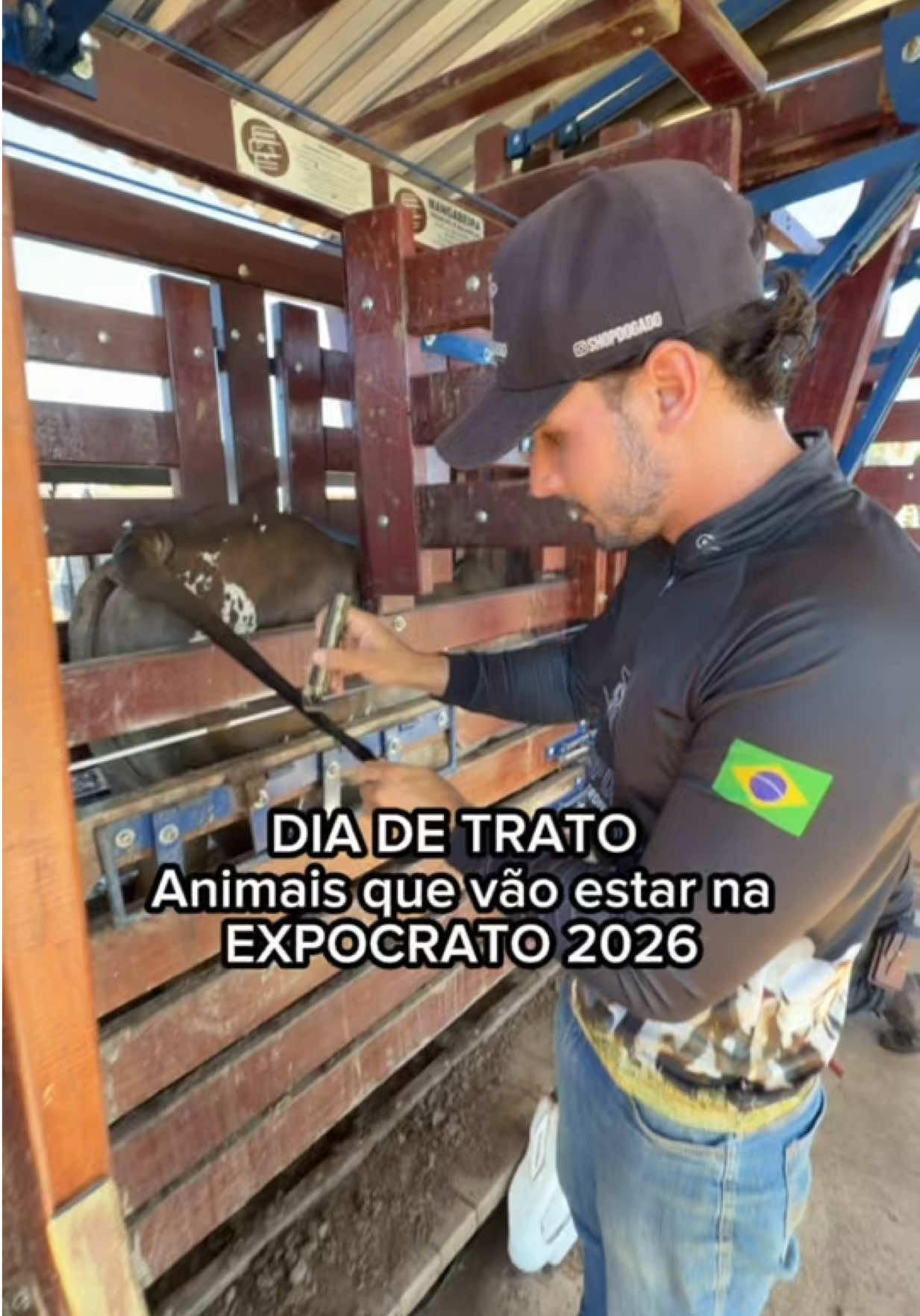 @Shop do Gado