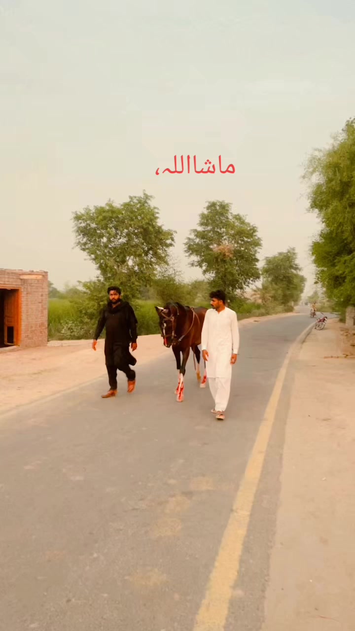 @Ali Nahra