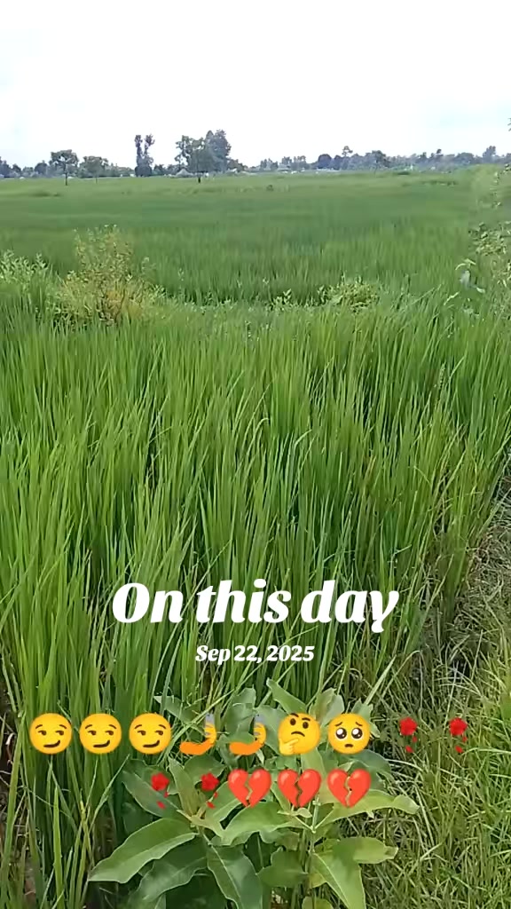 @Hari paswan