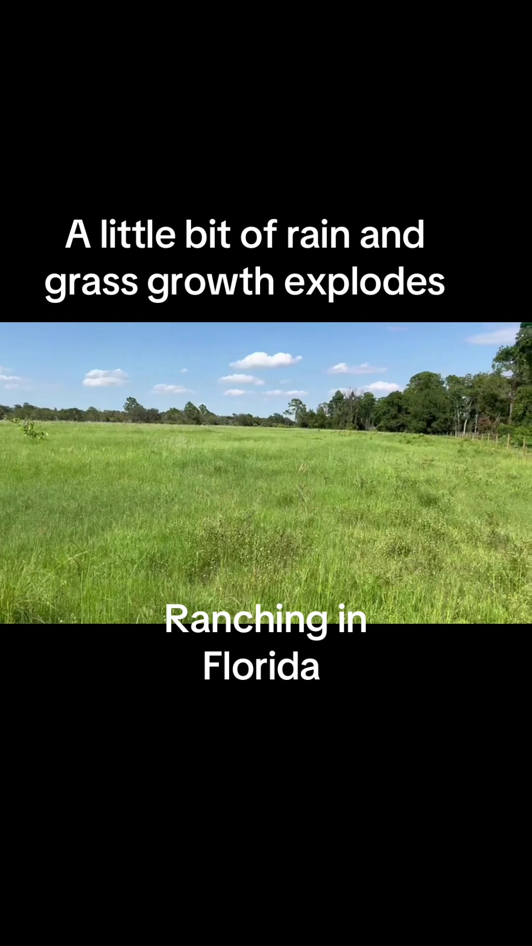 @Florida Land Guy