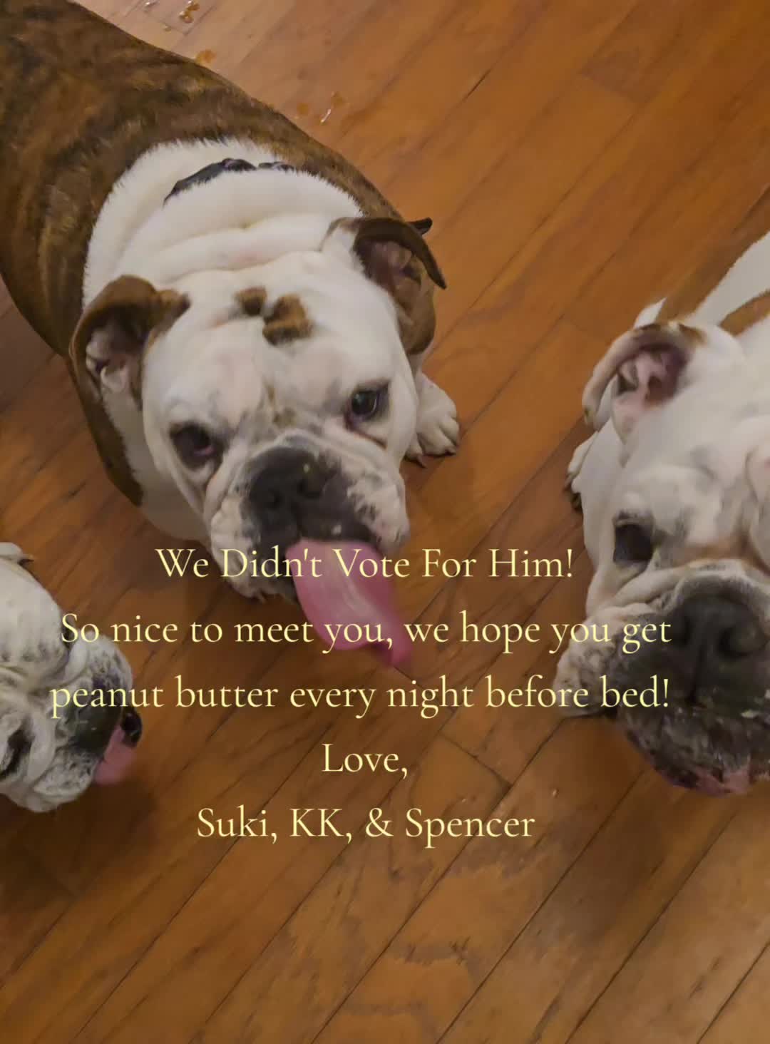 @BulldogTopiaInTexas💙💙💙💙💙
