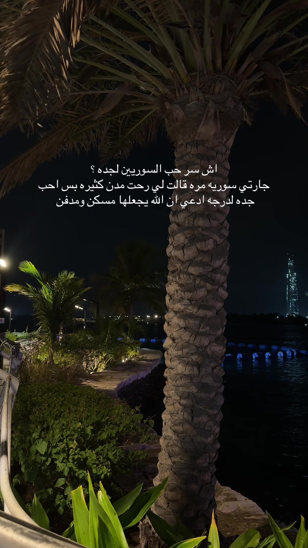 @Elara 🚀 | رحلة علم وحياة