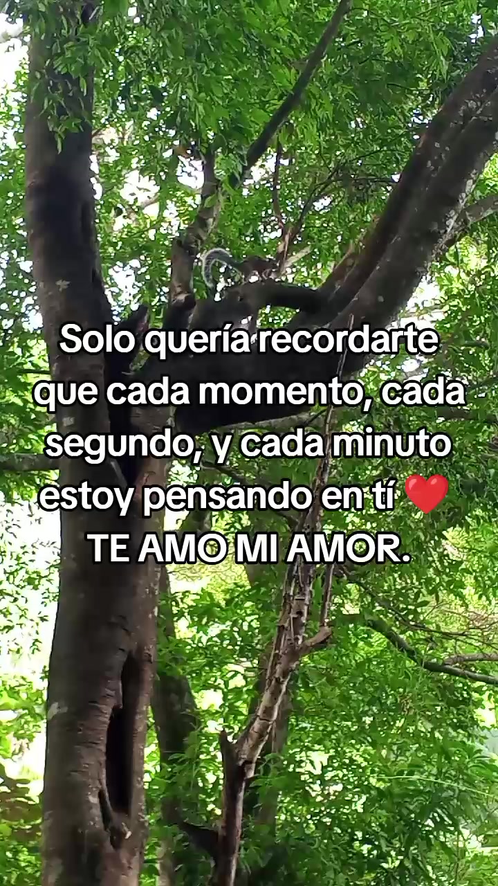 @lluvia 💫