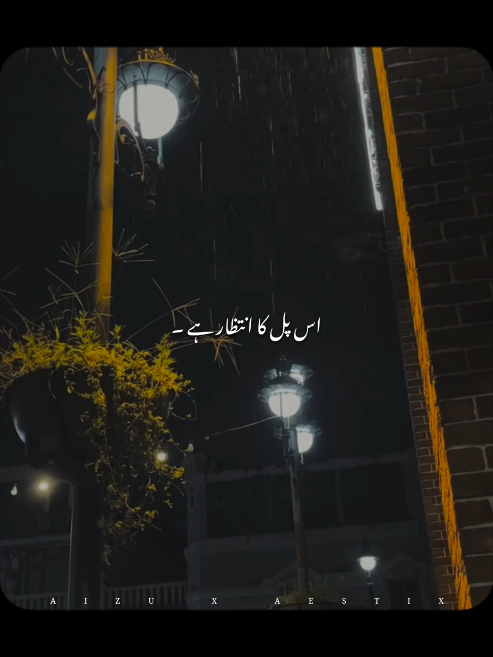 @𝘼 𝙄 𝙕 𝘼 𝙕 &bull; 🐼🍁