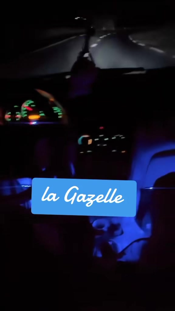 @Gazelle Eleulma