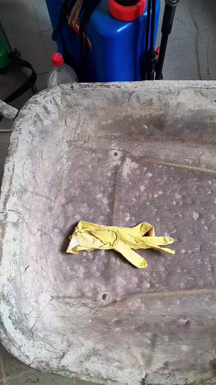 @Reginaldo dos santos pereira
