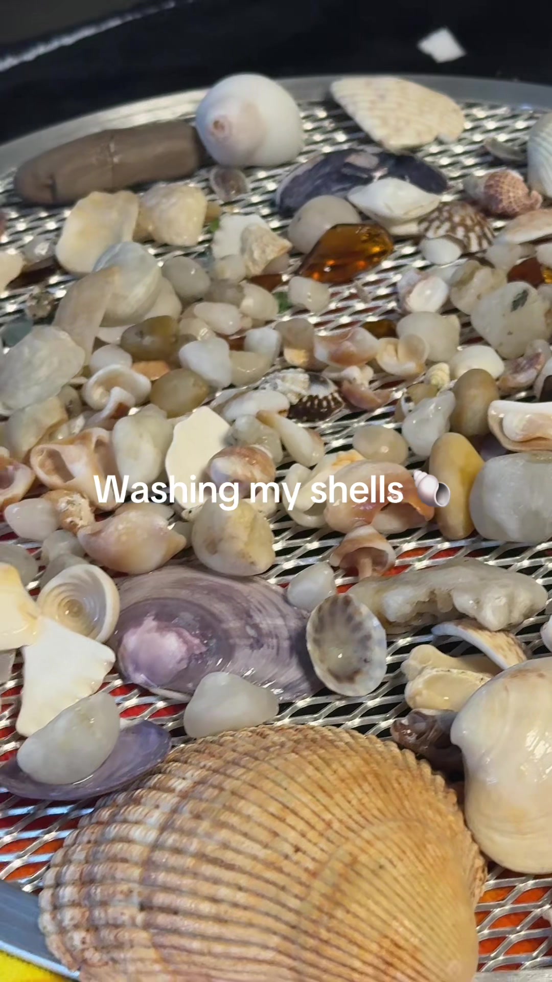 @oliveooooil