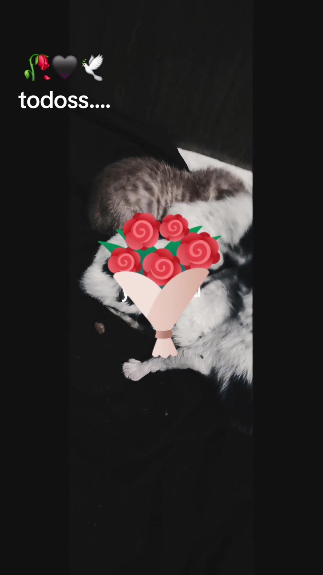 @uma_menina_quaquer💕💞
