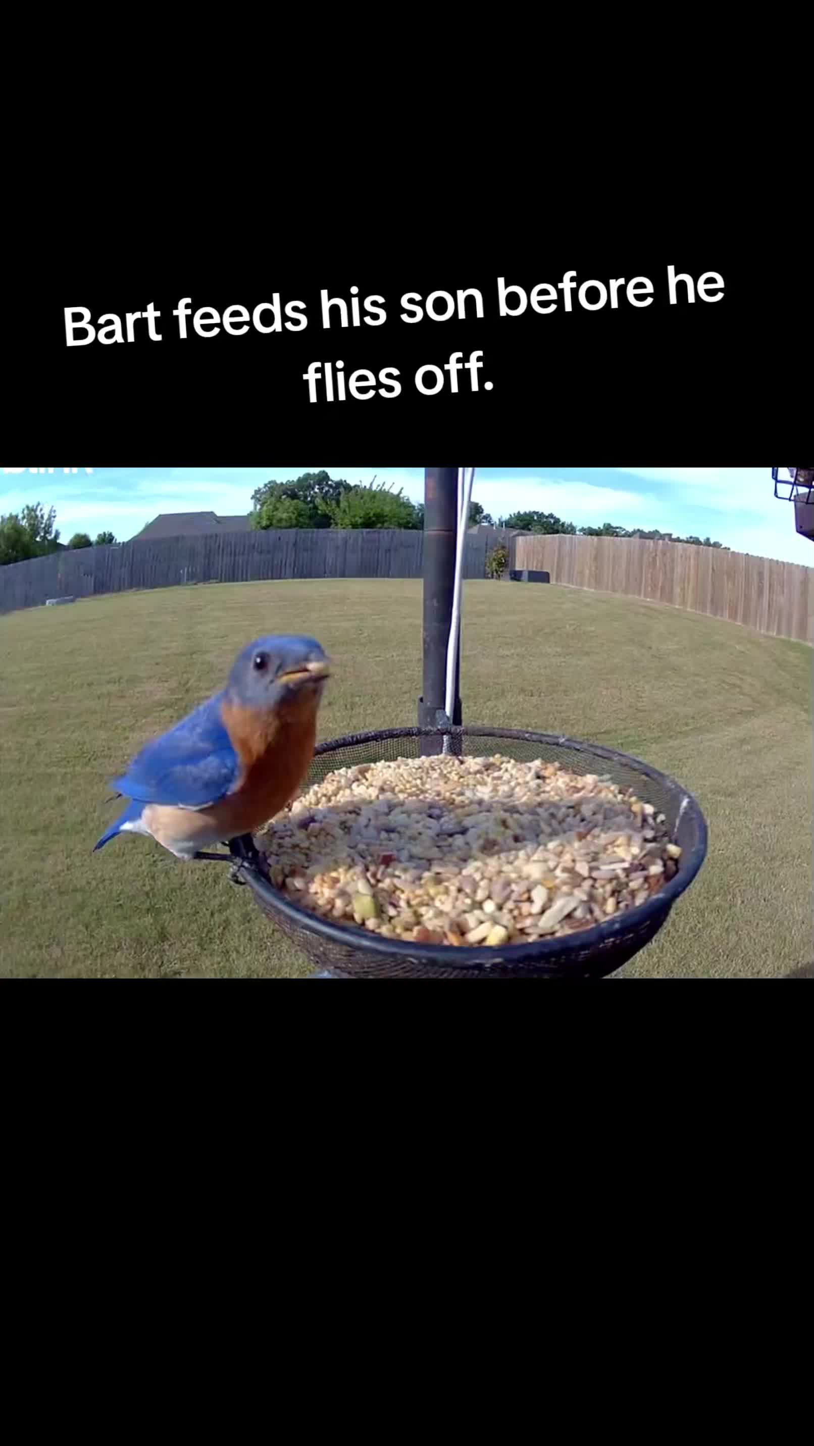 @The bird watcher 🐦 🦜 🦚