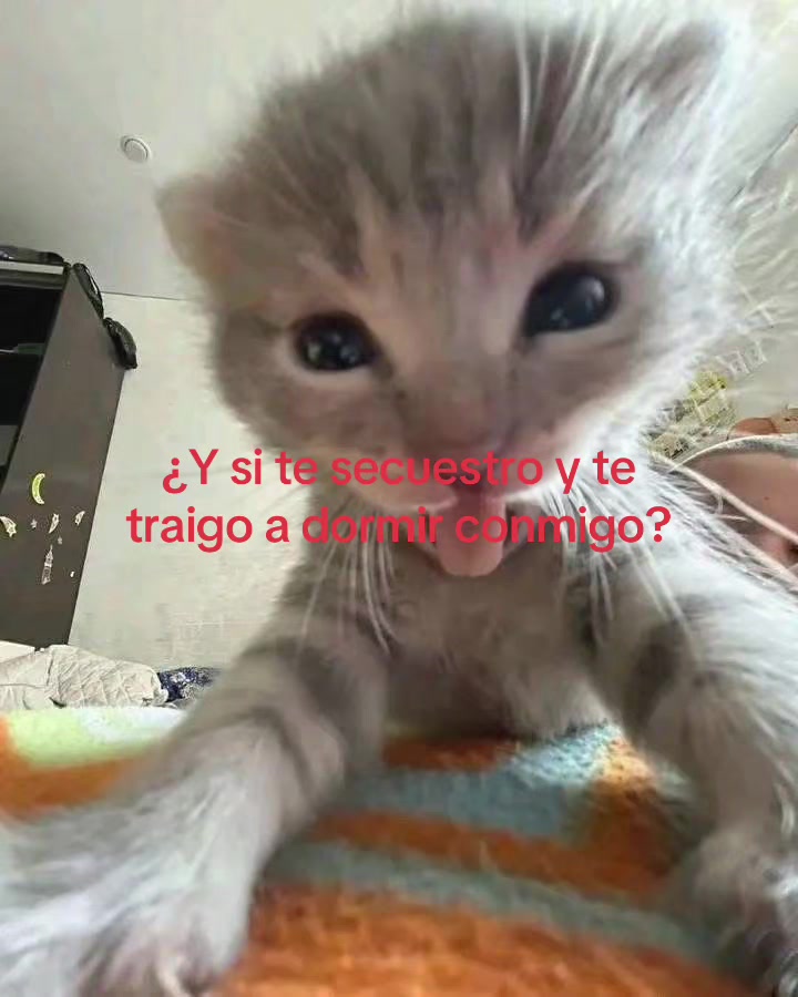 @yramyoliver