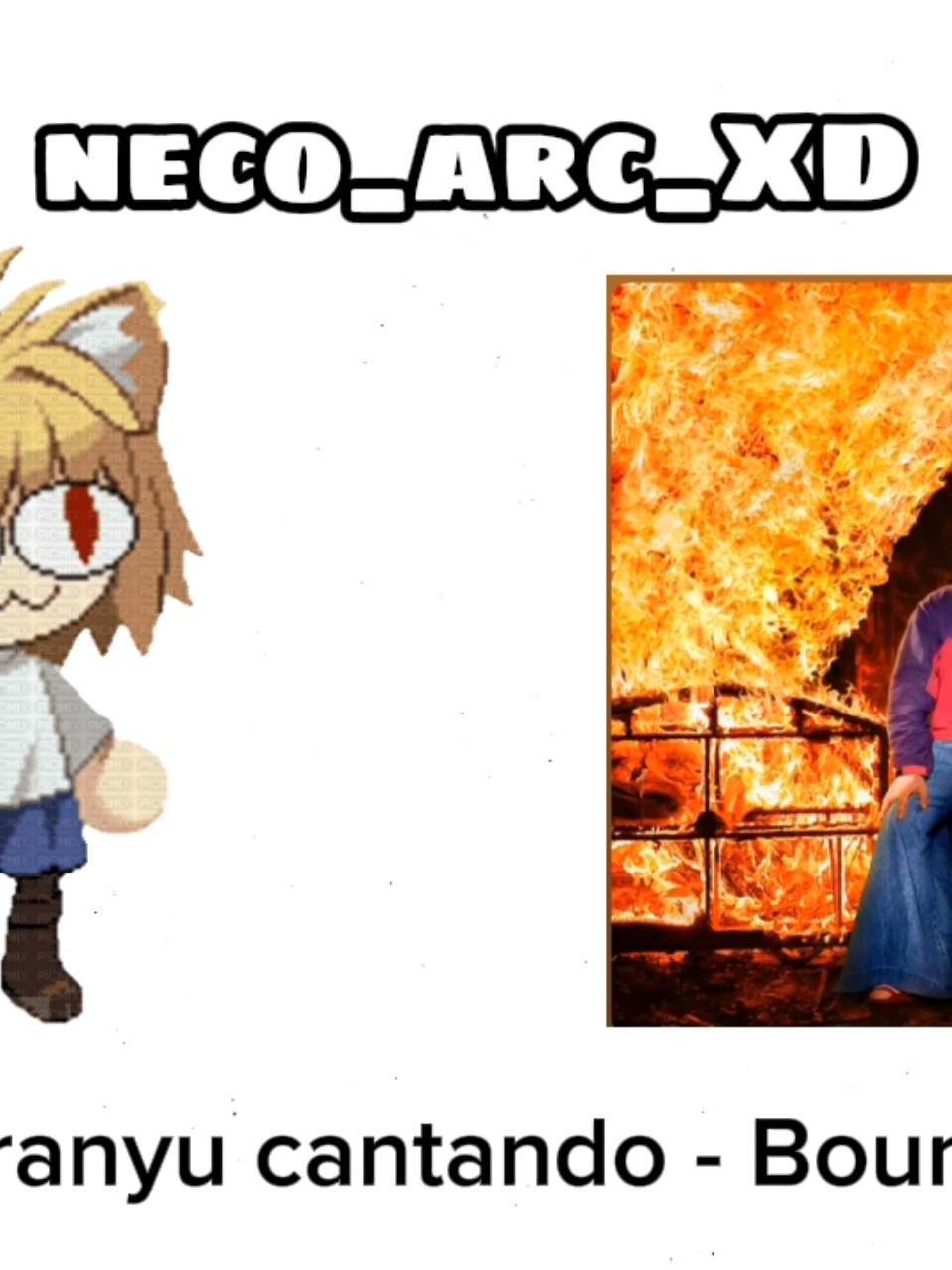 @neco_arc_XD