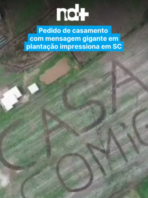 @portalndmais