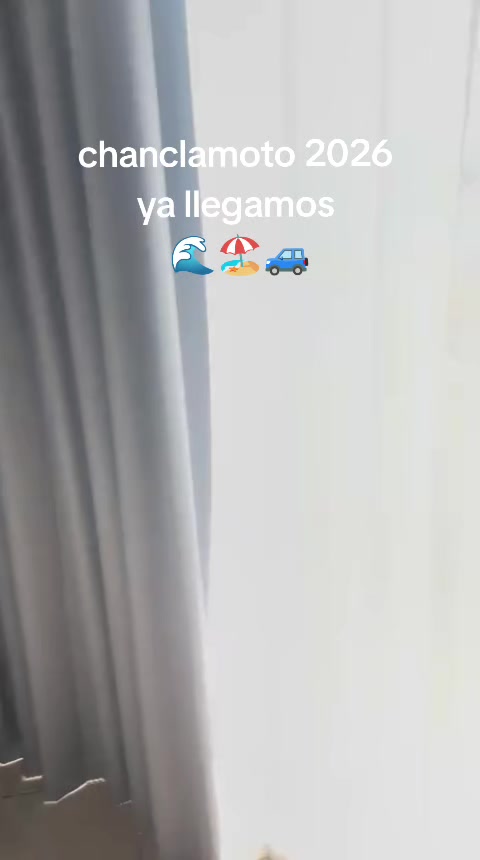 @Choco_trader