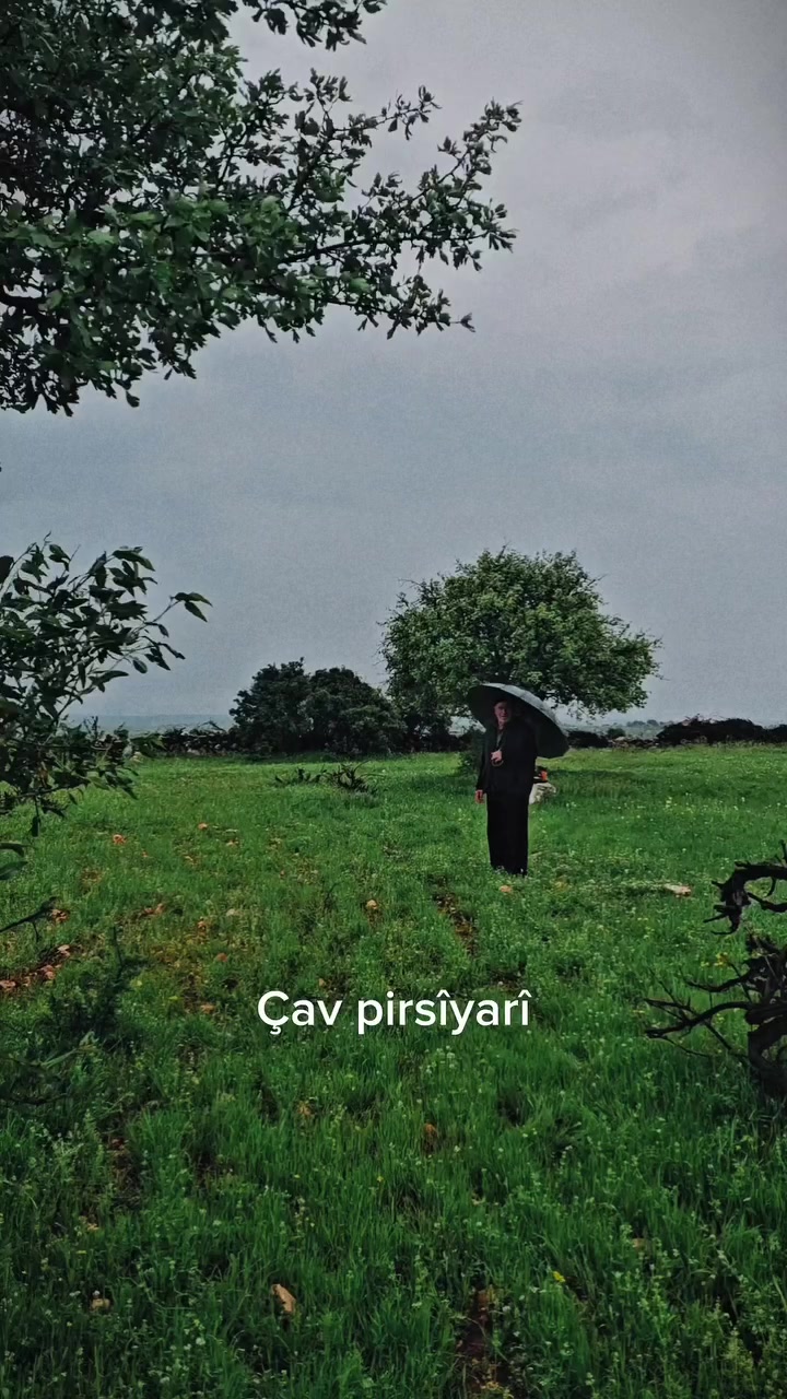 @Nejdet