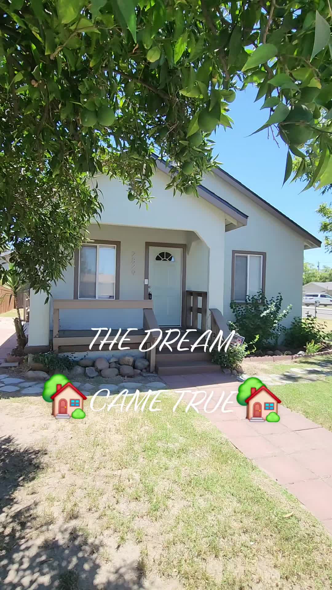 @Mr Real Estate