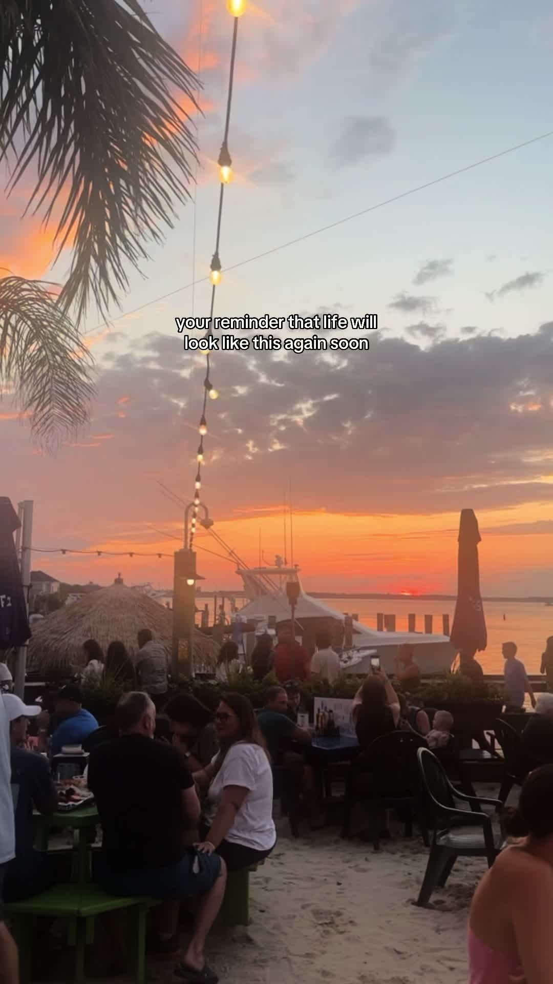 @ocfishtales