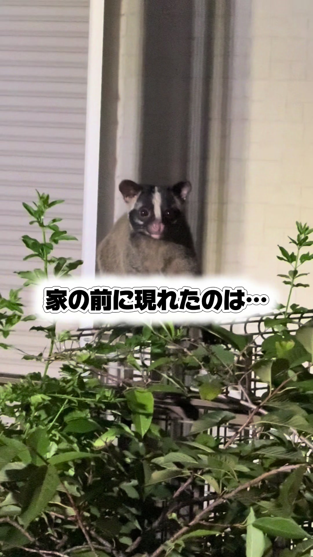 @トロン